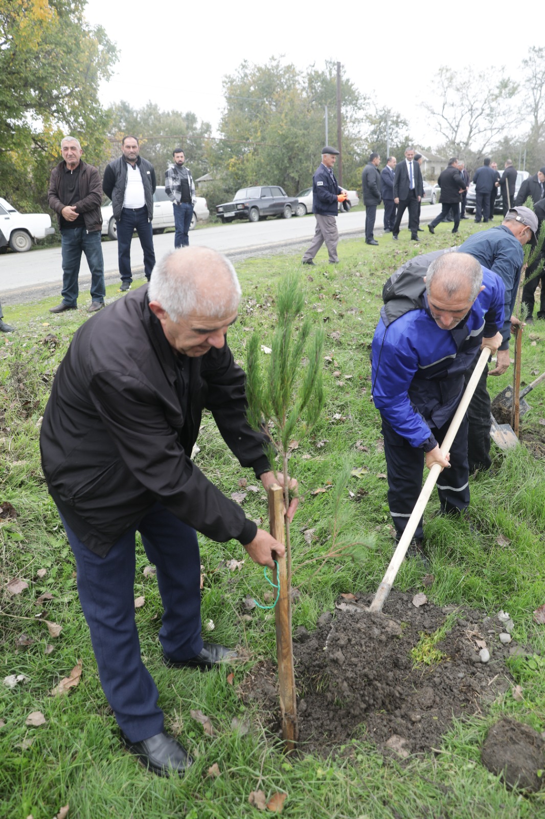 Xaçmazda Zəfər Günü münasibətilə kütləvi ağacəkmə aksiyası keçirilib (FOTO)