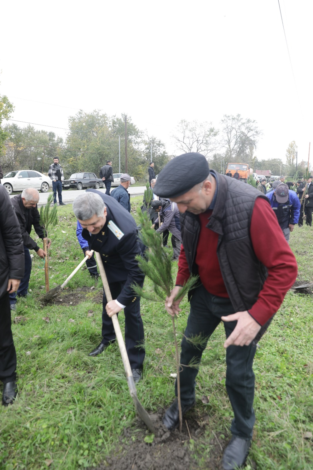 Xaçmazda Zəfər Günü münasibətilə kütləvi ağacəkmə aksiyası keçirilib (FOTO)
