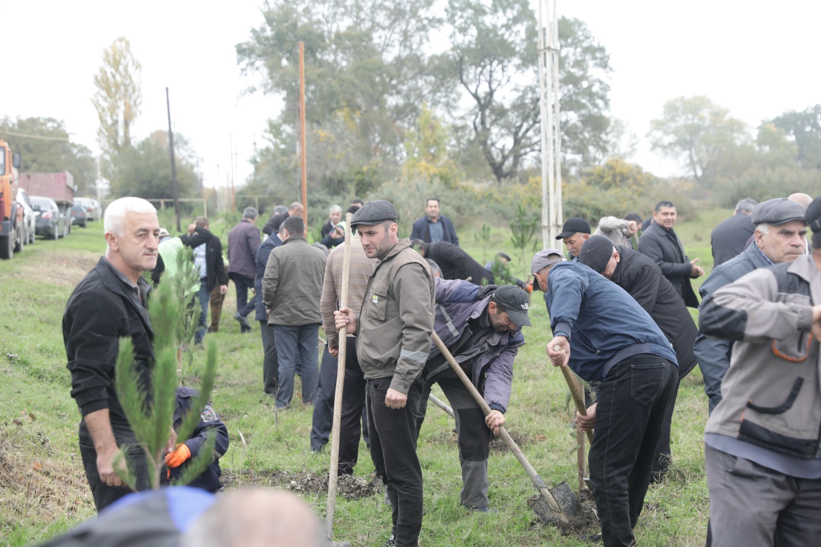 Xaçmazda Zəfər Günü münasibətilə kütləvi ağacəkmə aksiyası keçirilib (FOTO)