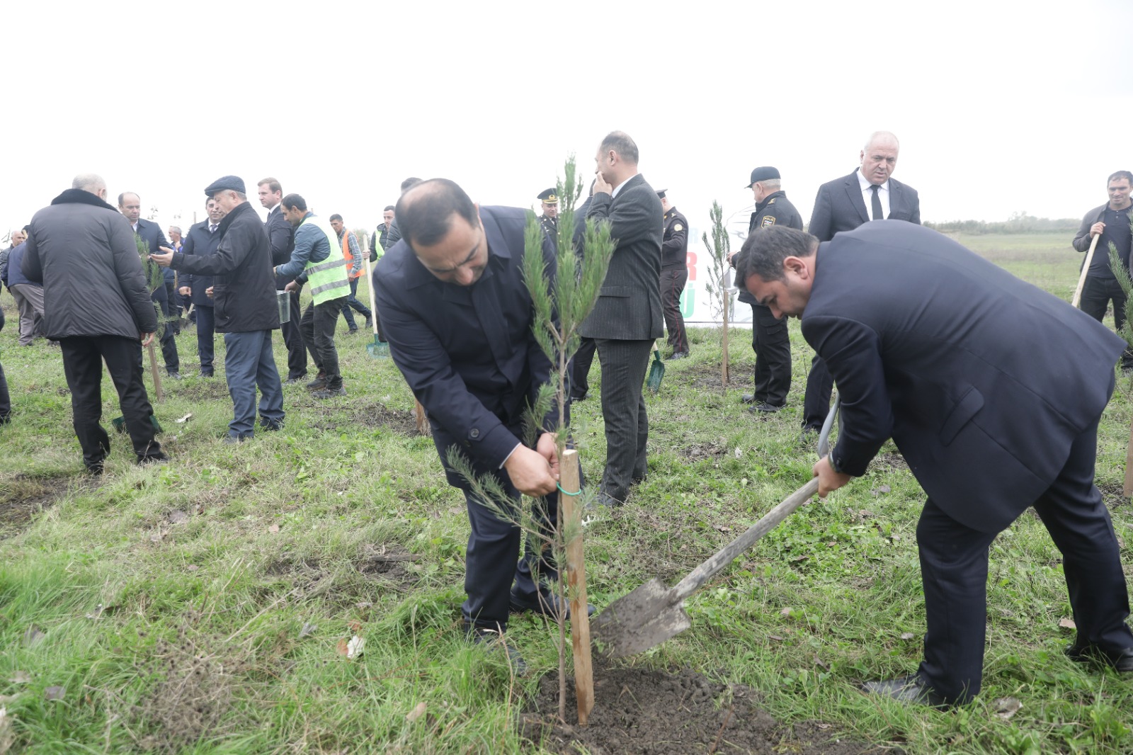 Xaçmazda Zəfər Günü münasibətilə kütləvi ağacəkmə aksiyası keçirilib (FOTO)
