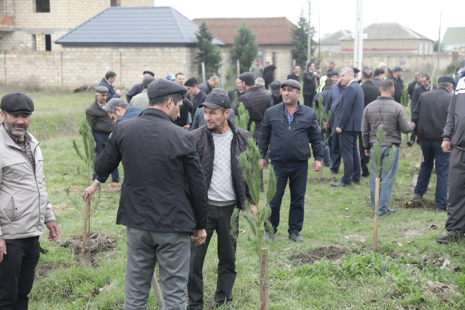 Xaçmazda Zəfər Günü münasibətilə kütləvi ağacəkmə aksiyası keçirilib (FOTO)