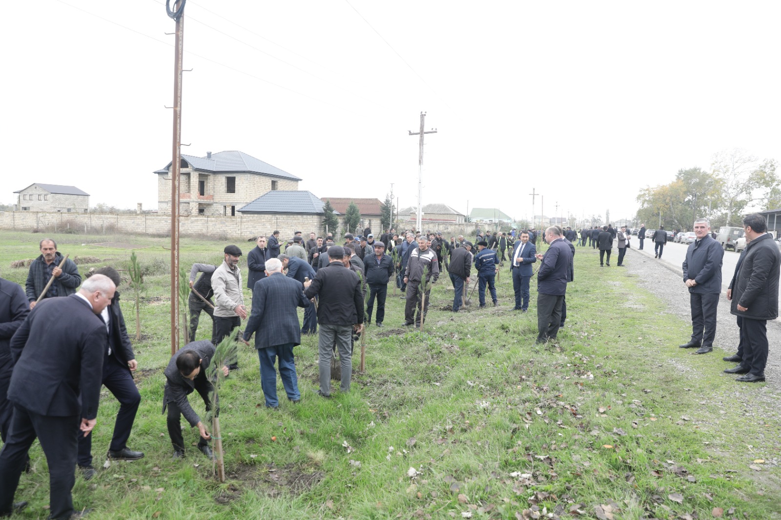 Xaçmazda Zəfər Günü münasibətilə kütləvi ağacəkmə aksiyası keçirilib (FOTO)