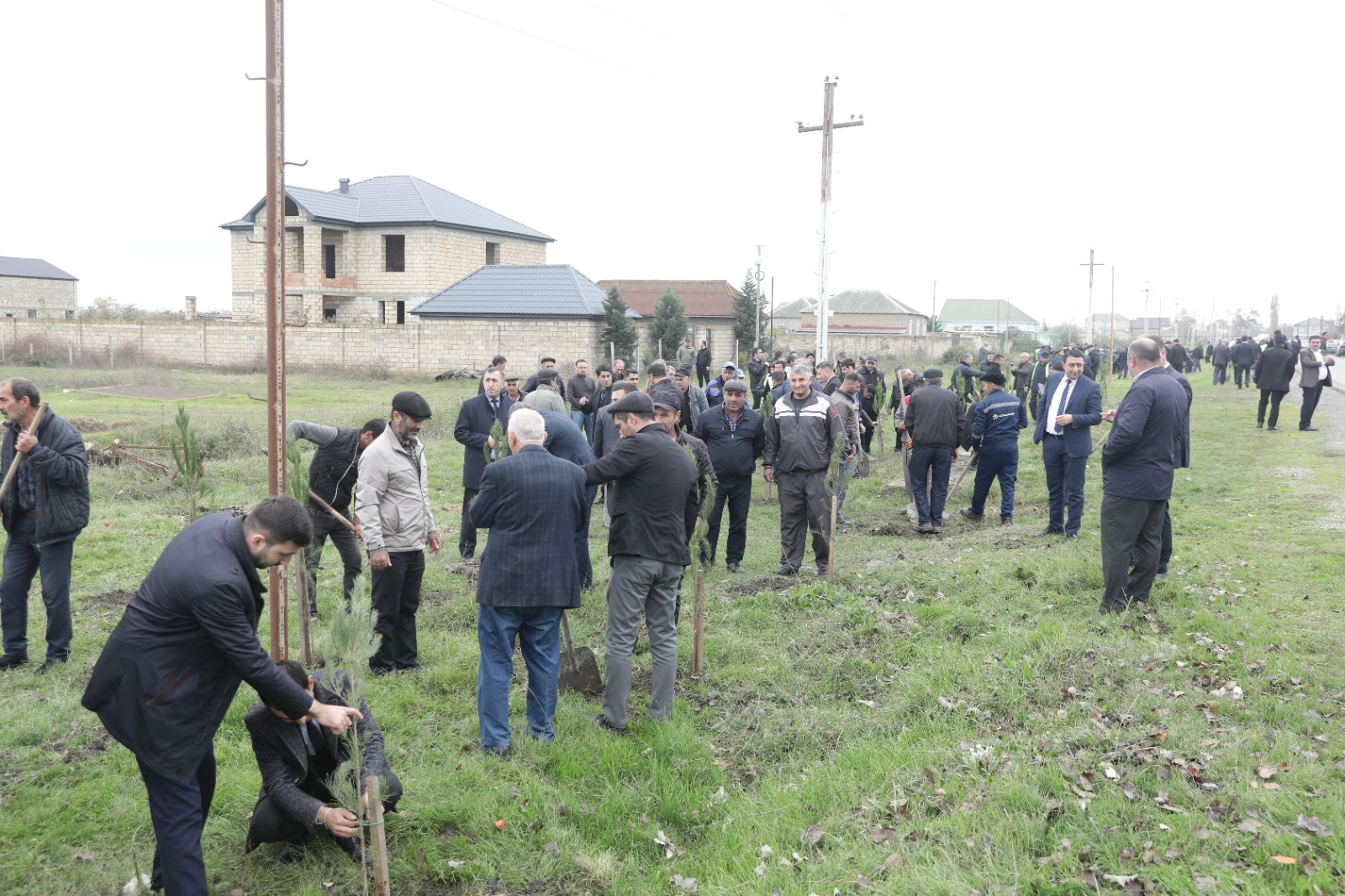 Xaçmazda Zəfər Günü münasibətilə kütləvi ağacəkmə aksiyası keçirilib (FOTO)