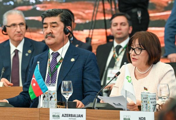 Azərbaycan bərpa olunan enerjinin inkişafı sahəsində lider dövlətlərdən birinə çevrilməkdədir - Sahibə Qafarova