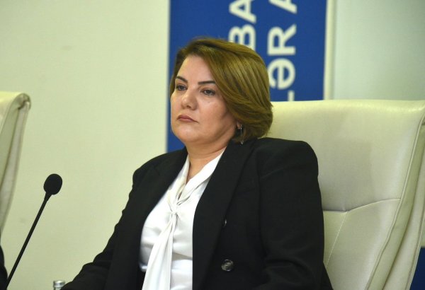 Azərbaycan dilində süni intellekt əsaslı yoxlama sistemi yaradılmalıdır - Vüsalə Mahirqızı