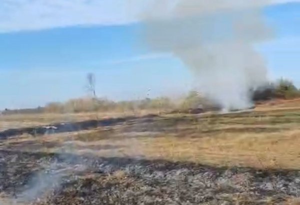 Zərdabda yanğın törədən şəxs saxlanılıb