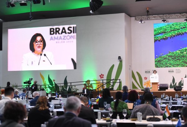 Azərbaycan Prezident İlham Əliyevin rəhbərliyi ilə ən uğurlu COP-lardan birinə ev sahibliyi etdi - Sahibə Qafarova