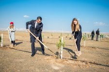 ETSN tərəfindən Zəfər Gününə həsr olunmuş tədbirlər keçirilib (FOTO)