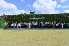 Sahibə Qafarova COP30 çərçivəsində “Enerji Keçidi” mövzusunda sessiyada çıxış edib (FOTO)