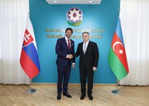 Azərbaycan və Slovakiya arasında müdafiə sənayesi sahəsində əməkdaşlıq müzakirə edilib (FOTO)