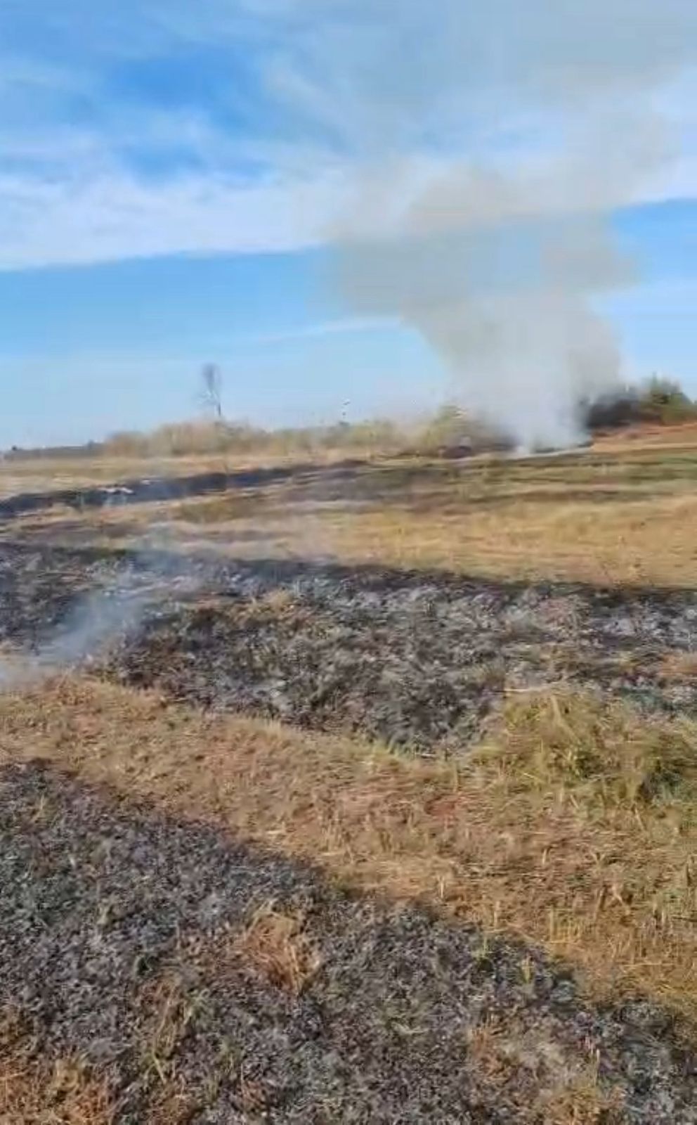 Zərdabda yanğın törədən şəxs saxlanılıb