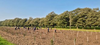 Zəfər Günü ilə əlaqədar meşə fondu torpaqlarında 30 mindən artıq ağac əkilib (FOTO)