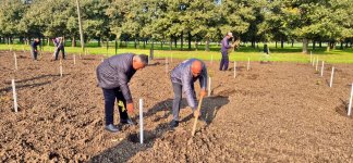 Zəfər Günü ilə əlaqədar meşə fondu torpaqlarında 30 mindən artıq ağac əkilib (FOTO)