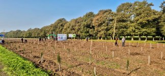 Zəfər Günü ilə əlaqədar meşə fondu torpaqlarında 30 mindən artıq ağac əkilib (FOTO)