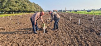 Zəfər Günü ilə əlaqədar meşə fondu torpaqlarında 30 mindən artıq ağac əkilib (FOTO)