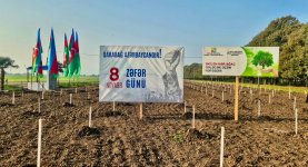 Zəfər Günü ilə əlaqədar meşə fondu torpaqlarında 30 mindən artıq ağac əkilib (FOTO)