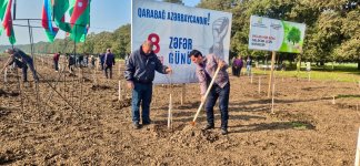 Zəfər Günü ilə əlaqədar meşə fondu torpaqlarında 30 mindən artıq ağac əkilib (FOTO)