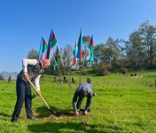 Zəfər Günü ilə əlaqədar meşə fondu torpaqlarında 30 mindən artıq ağac əkilib (FOTO)
