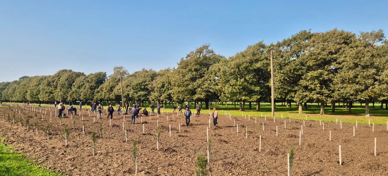 Zəfər Günü ilə əlaqədar meşə fondu torpaqlarında 30 mindən artıq ağac əkilib (FOTO)
