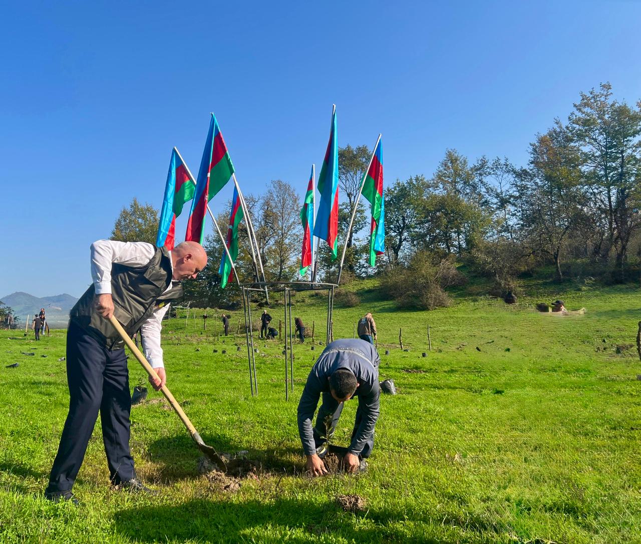 Zəfər Günü ilə əlaqədar meşə fondu torpaqlarında 30 mindən artıq ağac əkilib (FOTO)