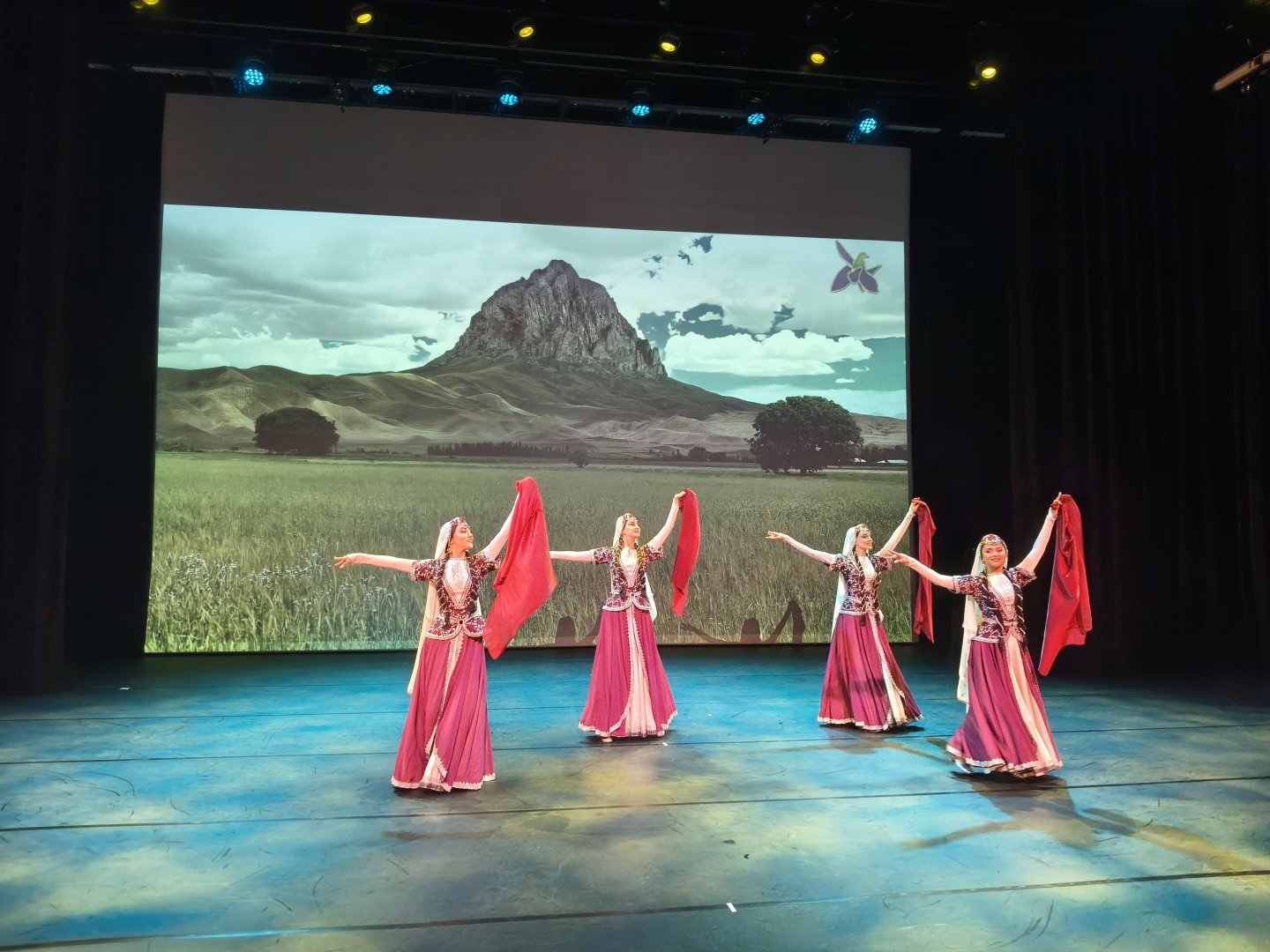 Zəfər Günü Niderlandda böyük coşqu ilə qeyd edilib (FOTO)
