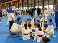 Taekvondoçularımız Avropa birinciliyində 15 medal qazanıblar (FOTO)