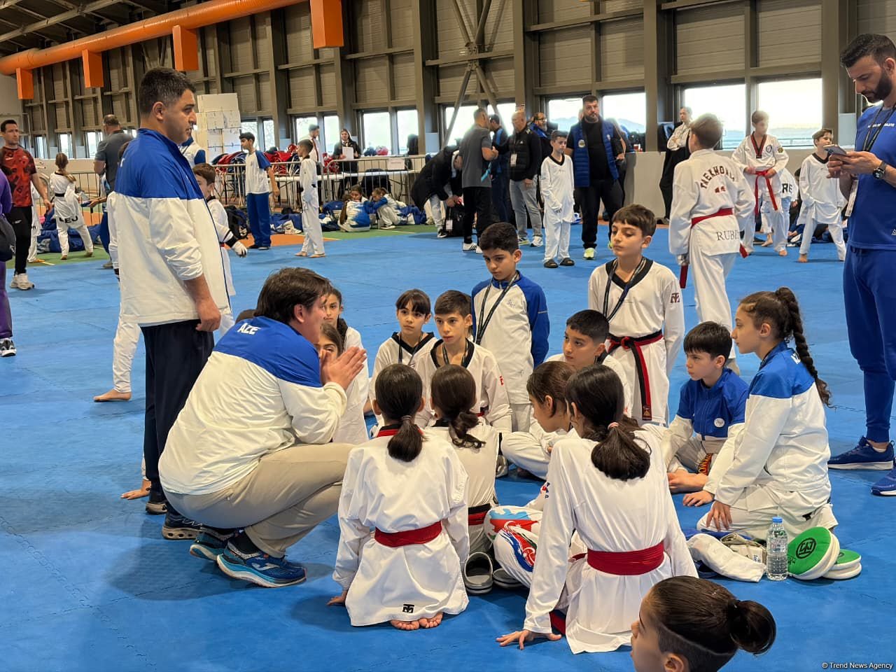 Taekvondoçularımız Avropa birinciliyində 15 medal qazanıblar (FOTO)
