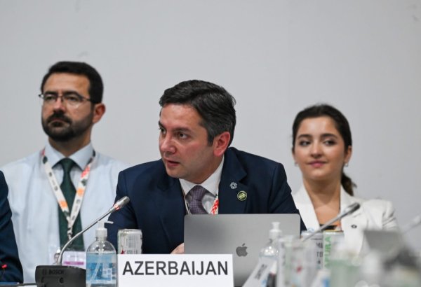 COP29-un gənclər üzərində qurulan irsi geləcək sammitlər üçün iştirak modelidir - Yalçın Rəfiyev (FOTO)