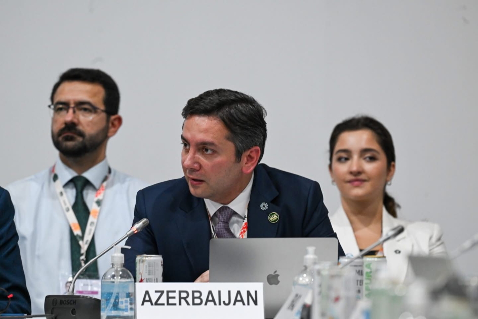 COP29-un gənclər üzərində qurulan irsi geləcək sammitlər üçün iştirak modelidir - Yalçın Rəfiyev (FOTO)