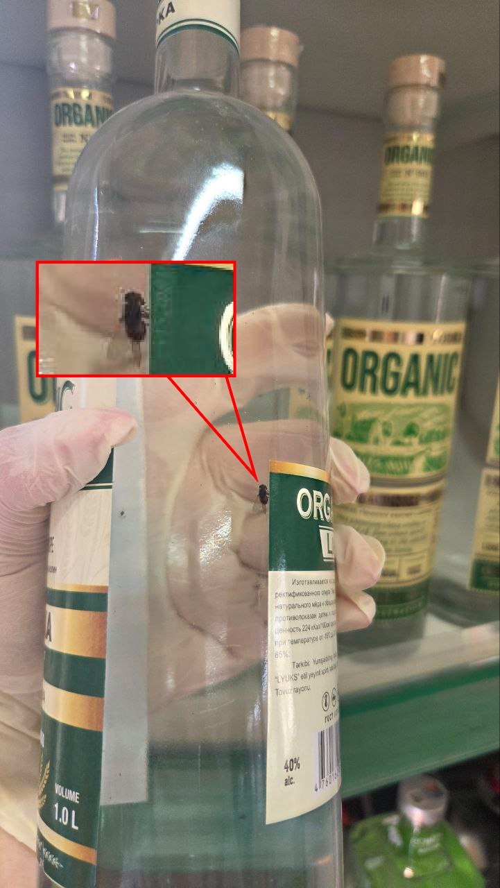 Cəbrayılda alkoqollu içkilərdə həşərat aşkarlandı (FOTO)