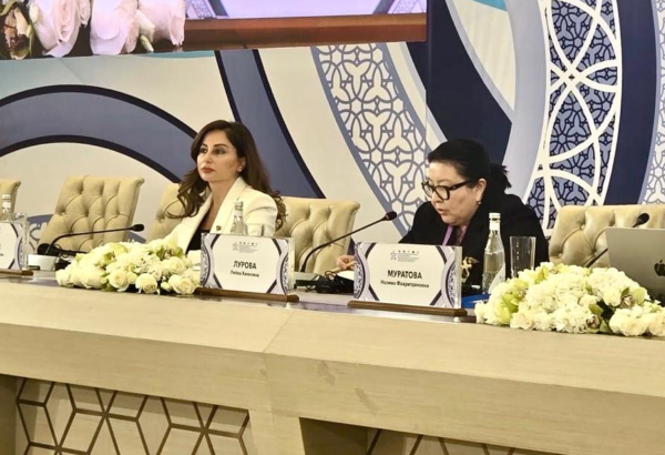 Azərbaycanda qadın hüquqlarının müdafiəsi dövlət siyasətidir – Əminə Ağazadə (FOTO)
