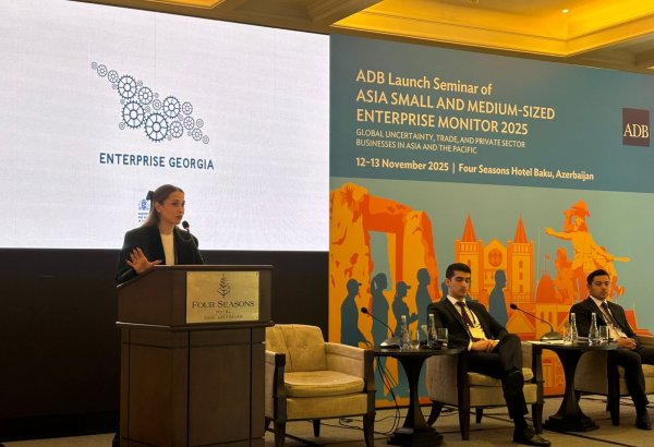 Bakı-Tbilisi-Qars dəmir yolunun ötürücülük qabiliyyətinin üç dəfə artırılması planlaşdırılır - Gürcüstan İqtisadiyyat Nazirliyi