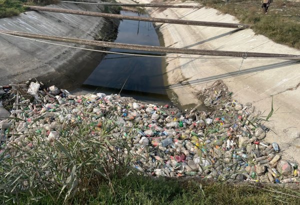 Samur–Abşeron suvarma kanalında balıqların tələfi araşdırılır - RƏSMİ (FOTO)