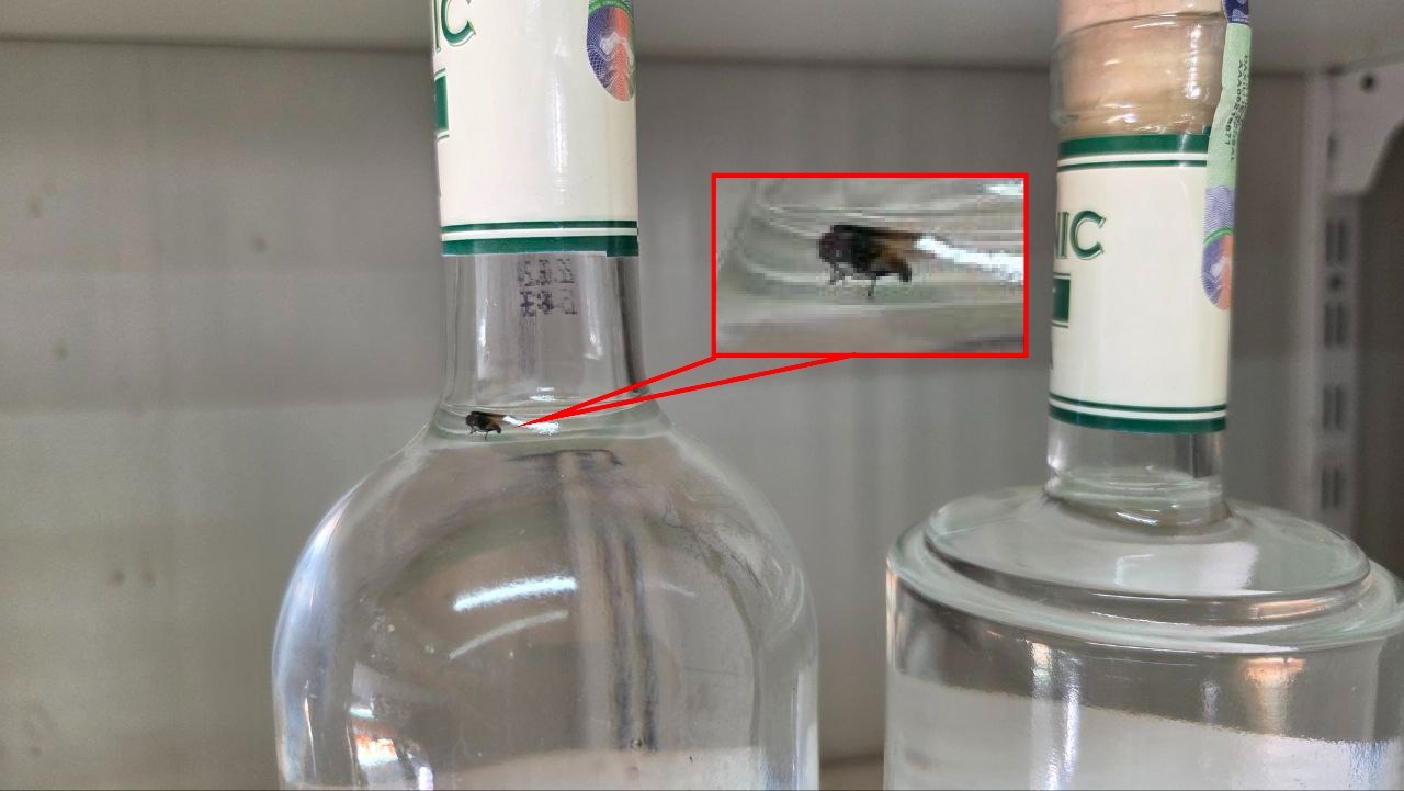 Cəbrayılda alkoqollu içkilərdə həşərat aşkarlandı (FOTO)