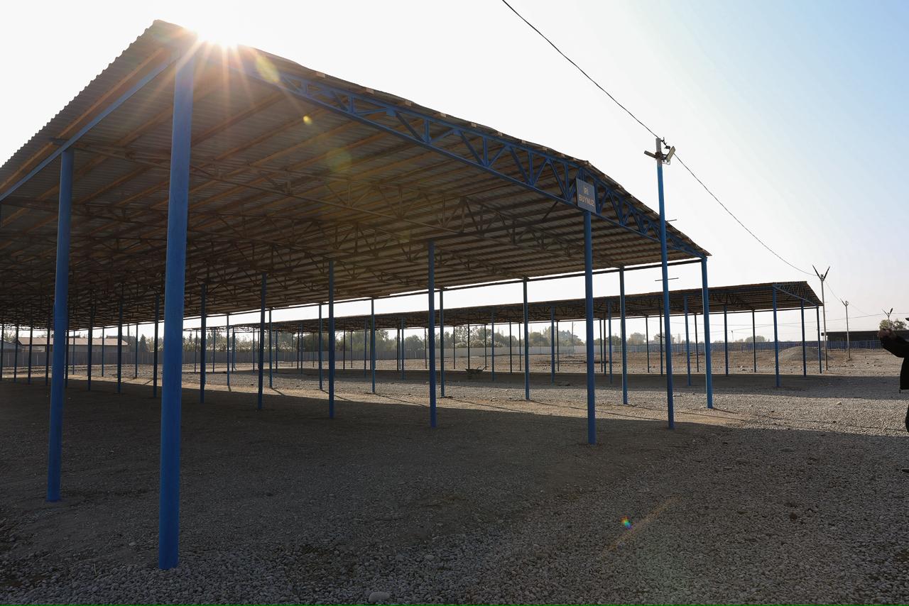 Heyvan bazarları yenidən qurulur - AQTA (FOTO)