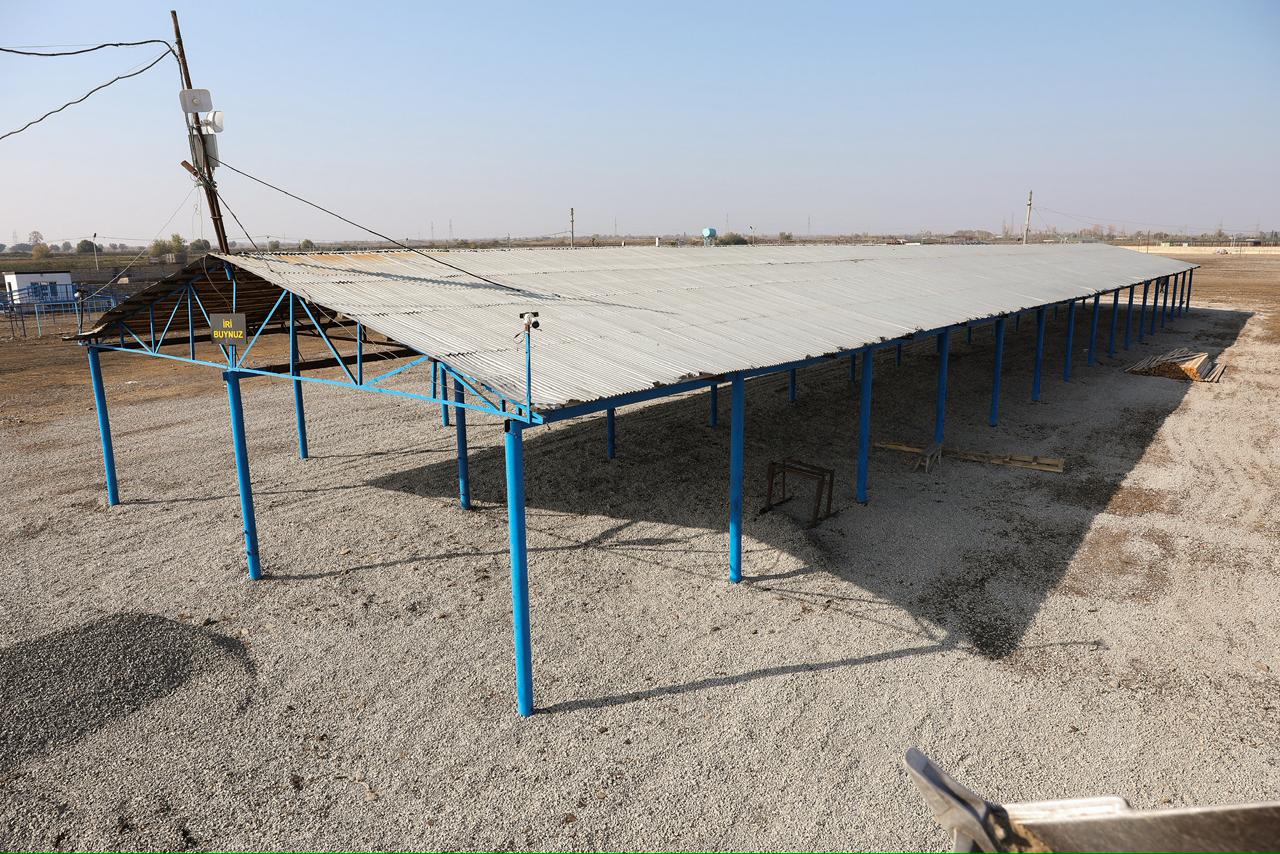 Heyvan bazarları yenidən qurulur - AQTA (FOTO)