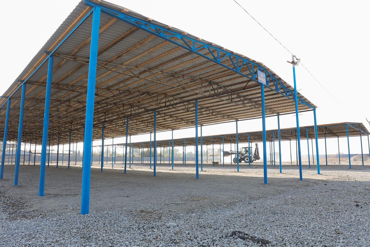 Heyvan bazarları yenidən qurulur - AQTA (FOTO)