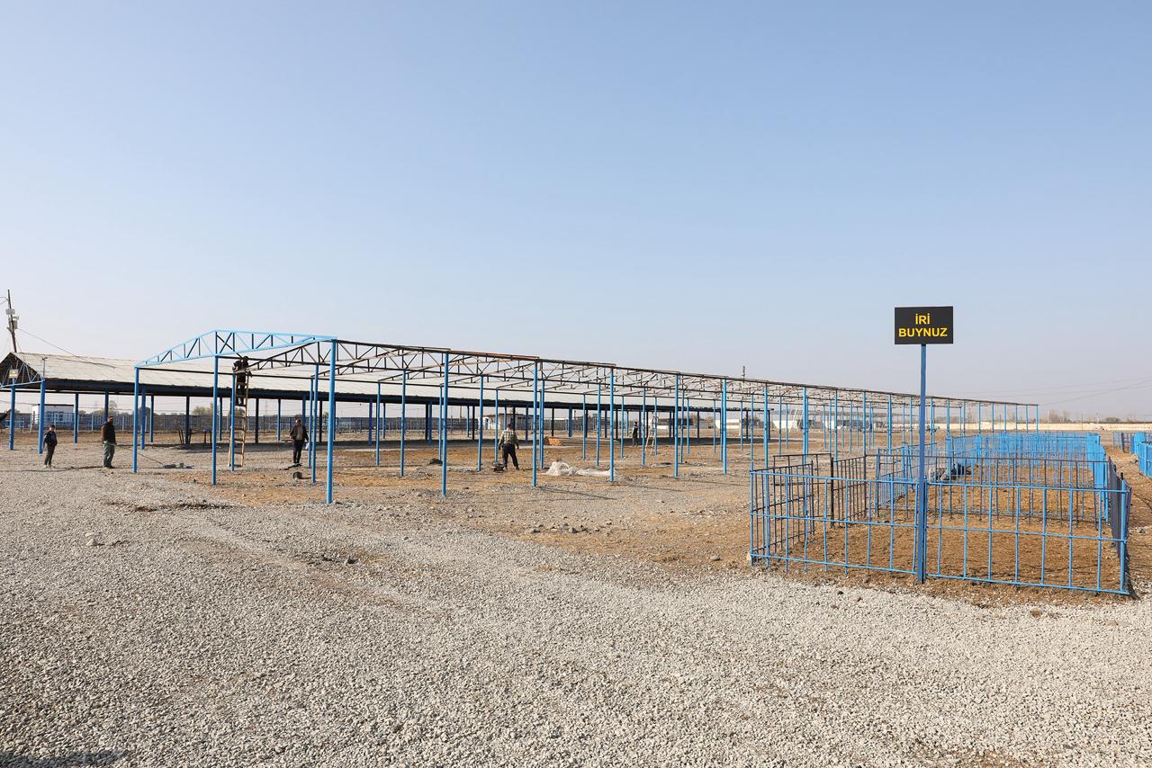 Heyvan bazarları yenidən qurulur - AQTA (FOTO)