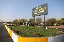 Heyvan bazarları yenidən qurulur - AQTA (FOTO)