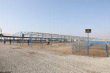 Heyvan bazarları yenidən qurulur - AQTA (FOTO)