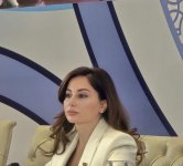 Azərbaycanda qadın hüquqlarının müdafiəsi dövlət siyasətidir – Əminə Ağazadə (FOTO)