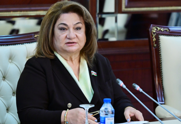 Bir çox uşaq bağçaları və məktəblərdə tibb işçiləri yoxdur – Hicran Hüseynova