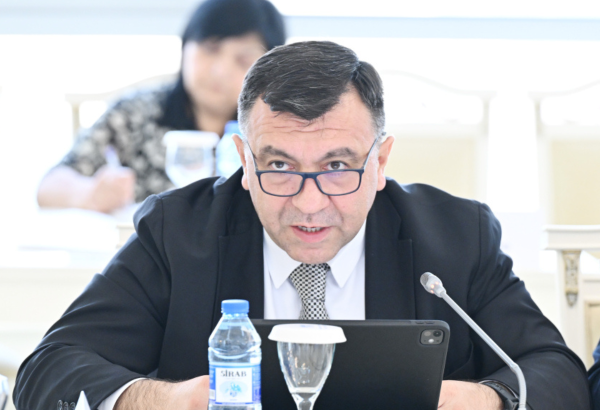 Biznesinin İnkişafı Fondu tərəfindən verilən güzəştli kreditlərin yarısı kənd təsərrüfatı məhsullarının istehsalına yönəldilib