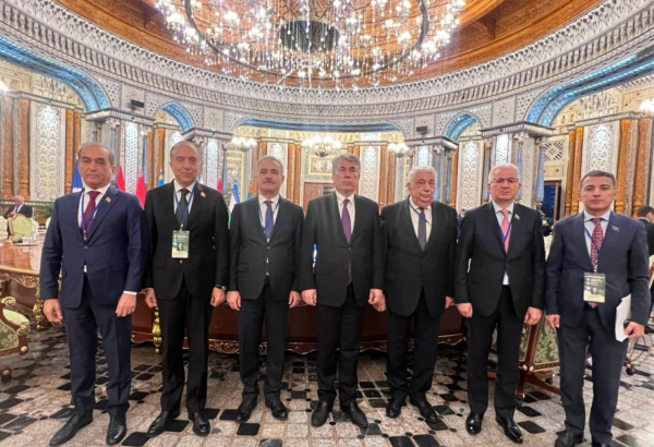 Milli Məclisin nümayəndə heyəti MDB PA-nın iclaslarında iştirak edib