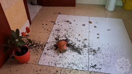 Kiyevə raket hücumu zamanı Azərbaycanın Ukraynadakı səfirliyinə ciddi ziyan dəyib, yaralanan yoxdur (FOTO)