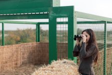 Heydər Əliyev Fondunun vitse-prezidenti Leyla Əliyeva Mingəçevirdə ekoloji aksiyalarda iştirak edib (FOTO)