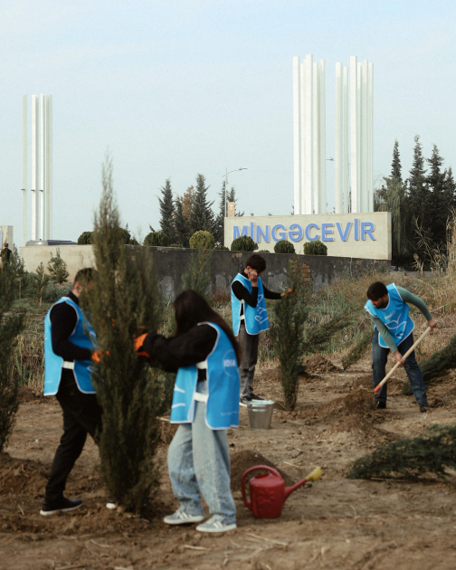 Heydər Əliyev Fondunun vitse-prezidenti Leyla Əliyeva Mingəçevirdə ekoloji aksiyalarda iştirak edib (FOTO)