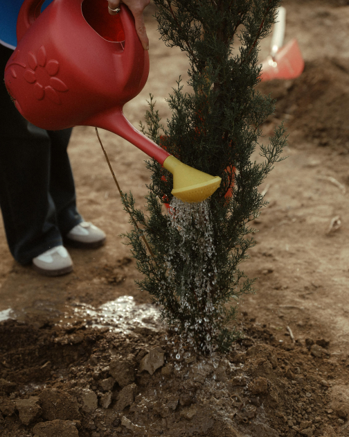 Heydər Əliyev Fondunun vitse-prezidenti Leyla Əliyeva Mingəçevirdə ekoloji aksiyalarda iştirak edib (FOTO)