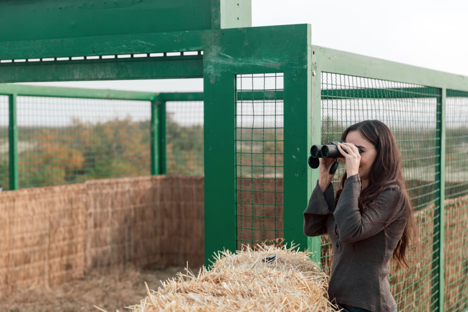 Heydər Əliyev Fondunun vitse-prezidenti Leyla Əliyeva Mingəçevirdə ekoloji aksiyalarda iştirak edib (FOTO)