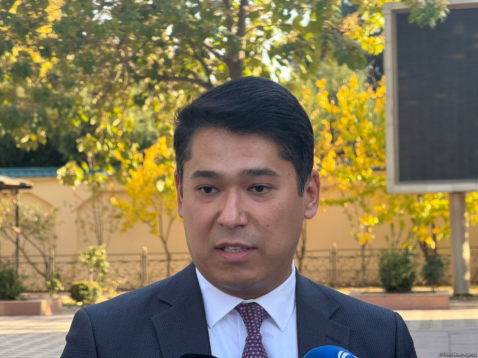 Mərkəzi Asiya "yaşıl" enerji dəhlizi layihəsinə yeni iştirakçıların rəsmi qoşulmasını gözləmək olar - Özbəkistanlı ekspert